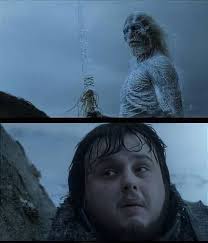 I've always wondered... In S2/E10 when Sam was out beyond the wall with  others, they heard three horns meaning white walkers and ran away. But Sam  of course couldn't run and hid