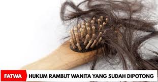 Kali ini 99.co indonesia akan menurut mereka sih, gaya rambut tersebut terlihat sederhana dan cocok bila digunakan di segala undercut memiliki karakteristik potongan tipis di samping kanan dan kiri hingga ke belakang. Adakah Rambut Wanita Yang Telah Dipotong Dianggap Aurat Ini Penjelasan Mufti