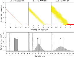 Image result for Celtis zenkeri