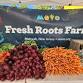 First Farmer's Market of 2026 Season! — MEVO