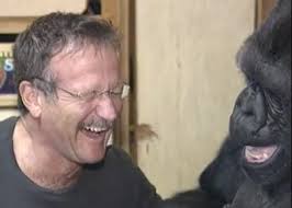 Bloomfield-Bloomfield Hills Obituaries News