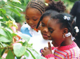 East Garfield Park Quality of Life Plan May 2008