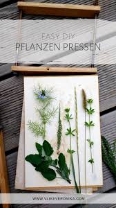 Pflanzen Pressen Pflanzen Blumen Pressen Blumen