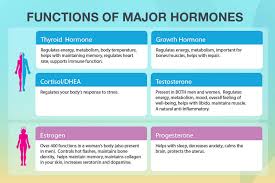 Hormone Optimization At Meliora Integrative Medicine