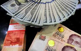 Pengertian Devisa Apa Itu Cadangan Devisa Serta Jenis Dan Bentuknya