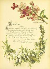 British Library Digitised Image From Page 15 Of The Artistic Language Of Flowers With Illustrations Language Of Flowers Flowers Flower Meanings
