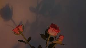 A collection of the top 48 vintage aesthetic pc wallpapers and backgrounds available for download for free. Dark Vintage Aesthetic Desktop Wallpaper Google Search Aesthetic Desktop Wallpaper Wallpaper Notebook Rose Wallpaper