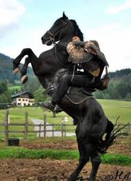 Pin By Just For You Prophetic Art On Horses Horses Horse Rearing Horse Love