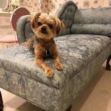 You can see how to get to advanced pet care of clear lake on our website. League City Animal Clinic 15 Photos 16 Reviews Veterinarians 2310 W Main St League City Tx Phone Number