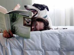100 Books Everyone Should Read Before They Die Ranked Books Everyone Should Read 100 Books To Read 100 Book
