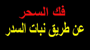 فك السحر عن طريق نبات السدر tech company logos company logo logos