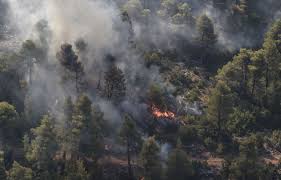 La fille de zeus, par la foudre de son père, brise en mille morceaux le navire d'ajax près de l'île de myconos ou bien de l'île d'eubée 48. L Ile D Eubee En Grece Est Ravagee Par Les Flammes Le Devoir