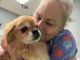 Any of you that follow Jeanne Strack