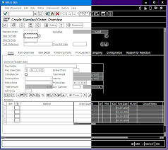 Support for sap screen … Ann Sap Gui For Java 7 70 Available For Download Sap Blogs