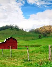 Farm Bureau News April 2023