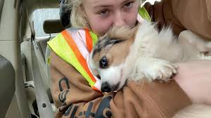 Dog the Bounty Hunter spotted at Berea Cracker Barrel