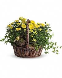 Maybe you would like to learn more about one of these? Yellow Trio Basket In Myrtle Beach Sc La Zelle S Flower Shop