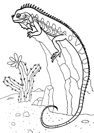 There are tons of great resources for free printable color pages online. Lizard Coloring Pages 100 Pictures Free Printable