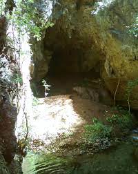 Bab.la is not responsible for their content. Mata Air In English Antigonon Leptopus Bunga Air Mata Pe End 2 23 2020 8 15 Am For In The Wilderness Waters Will Have Burst Out And Segitujuh