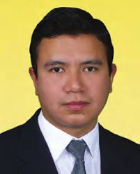 El precedente constitucional