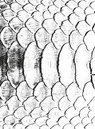 Distressed Overlay Texture Of Crocodile Or Snake Skin Leather, Grunge  Background. Abstract Halftone Vector Illustration Royalty Free Svg,  Cliparts, Vectors, And Stock Illustration. Image 122571274.