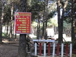 Açık ve kapalı oturma alanları, restoran, kafe, çay bahçesi, semaver ve. Aydos Ormani Ne Gordum