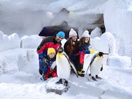 محلات الصرافة السهلة والمريحة في دبي مول الإمارات