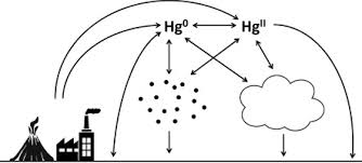 Marketed primarily toward individuals with credit scores ranging between 575 and 675, the mercury mastercard. An Updated Review Of Atmospheric Mercury Sciencedirect