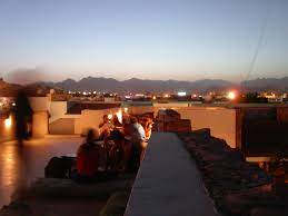 Camel dive club & hotel. Pin On Favorite Places Spaces
