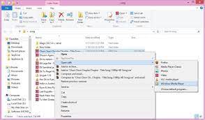 Change Audio Language In Windows 8 Media Player