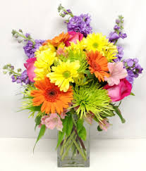 We did not find results for: Enchanted Rainbow Flower Arrangement In Monument Co Enchanted Florist