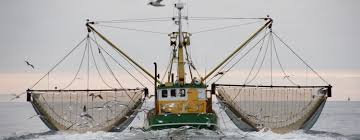 Commercial Fishing Saving Earth Encyclopedia Britannica