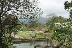 獅子會自然教育中心（lions nature education centre，簡稱lnec）位於香港新界西貢半島對面海蕉坑，是香港首個自然教育中心，佔地約34公頃。 教育中心前身是建於1950年代的「政府實驗農場」，在1986年關閉，於1987年香港政府把附近一帶共. è¥¿è²¢ç…å­æœƒè‡ªç„¶æ•™è‚²å¾'100 è¦ªå­æ¨‚åœ' æ–°å‚³ç¶²