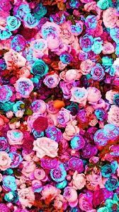 خلفيات وردية pink wallpaper fond d ecran telephone fleurs fond d ecran pastel papier peint fleuri