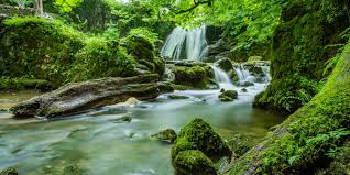Image result for images jesus living water