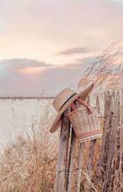 Mashikyu So I Turn On My Radio Dried Flowers Summer Stripes Golden Hour