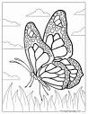 62 Butterfly Coloring Pages (Free PDF Printables)