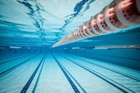 Les Bassins Olympiques Guide Piscine Fr