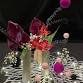 Holiday Ikebana Workshop + Illuminated event in Rockford, IL