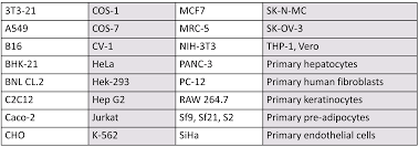 Brightfield and fluorescence microscopy images of the cells following electroporation. Jetpei Dna Transfection Reagent Polyplus Transfection