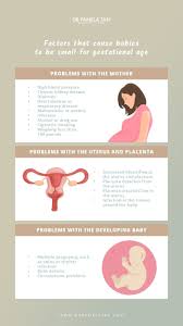 Pin On Obstetrics Gynecology Infographics