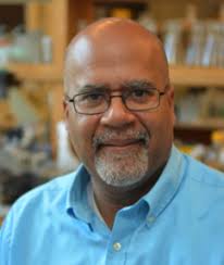 UNIVERSITY OF ROCHESTER DEPARTMENT OF