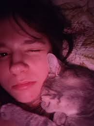 STILL MISSING. please please help me find my tabby cat Stella, I last saw  her