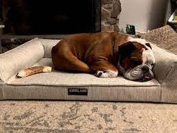 If a bed reduces pressure points on joints then it is considered an orthopedic dog bed. Pulled The Trigger On The Dog Bed So Far So Good Costco