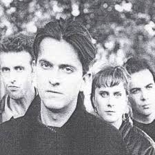 Animal which 'normally doesn't win' crowned Champion of Champions at Border  Union Show