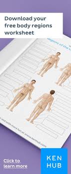 Body Regions Learn With Quizzes And Labeled Diagrams How To Study Anatomy Learning Learning Strategies