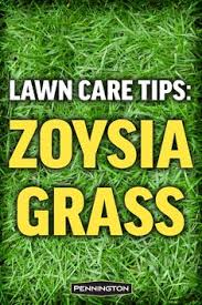 Maybe you would like to learn more about one of these? 16 Zoysia Grass Ideas In 2021 Zoysia Grass Grass Lawn Care