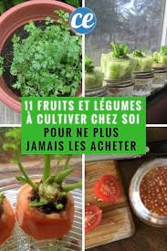 11 Fruits Et Legumes Que Vous Ne Devriez Acheter Qu Une Seule Fois Dans Votre Vie Si Vous Connaissez Ces Astuces Fruits Et Legumes Planter Des Legumes Jardin De Legumes