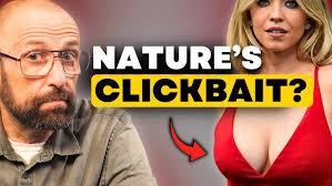 Image result for Boobs