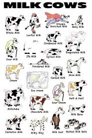 Why did the blonde buy a brown cow? Pin By Betsy Kemp Johlitz On Cows Cows Funny Cow Tattoo Cute Cows